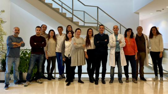 Un grupo de investigación del IBSAL, pionero en el diagnóstico genético de trastornos plaquetarios