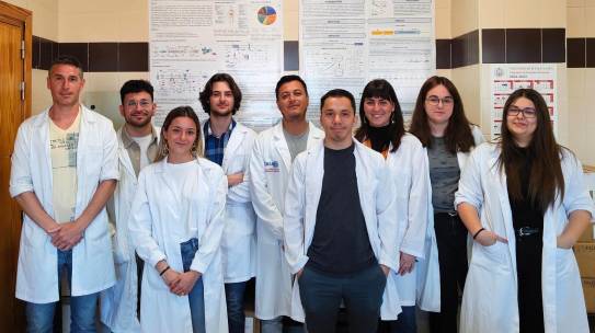 Investigadores del IBSAL actualizan el conocimiento sobre neurofibromatosis